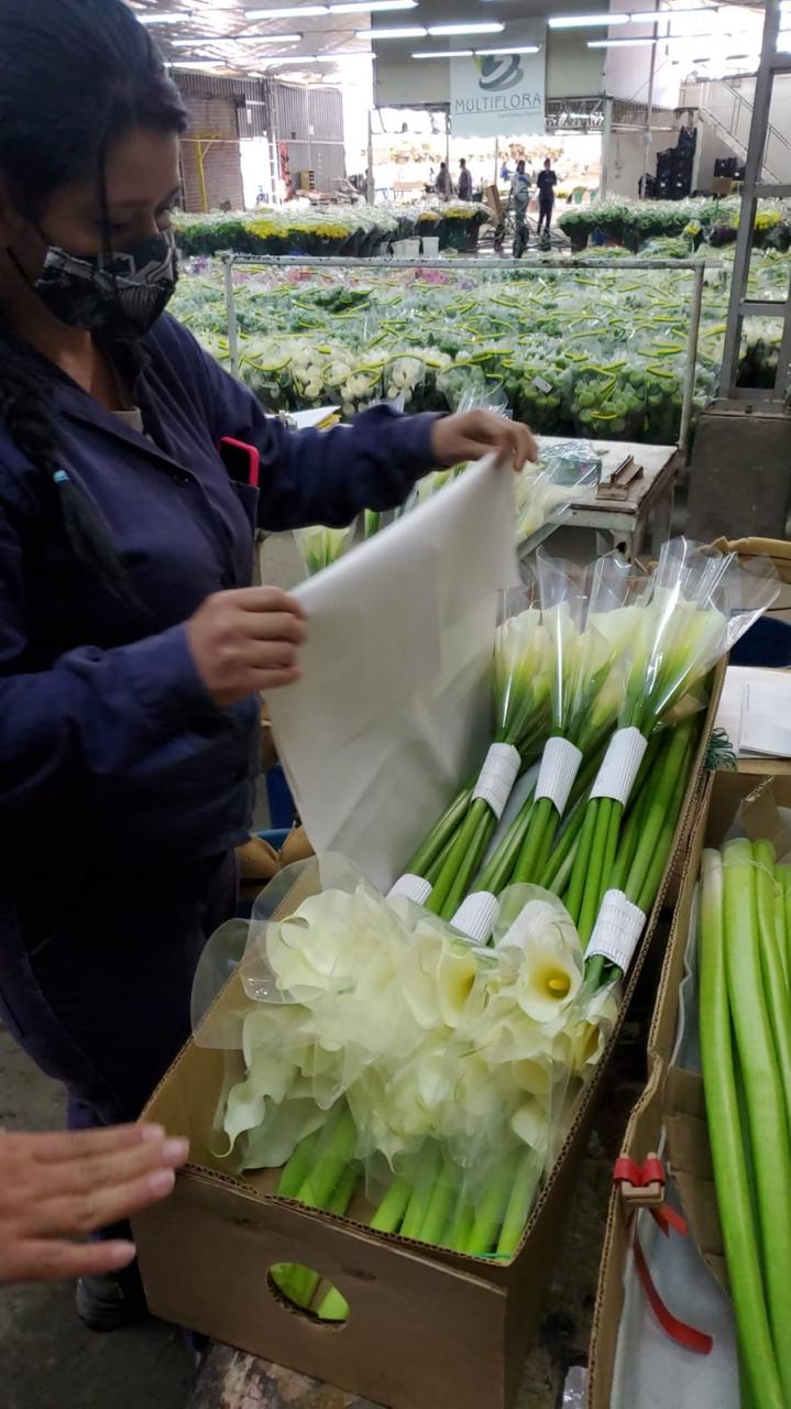 Variedad de flores colombianas