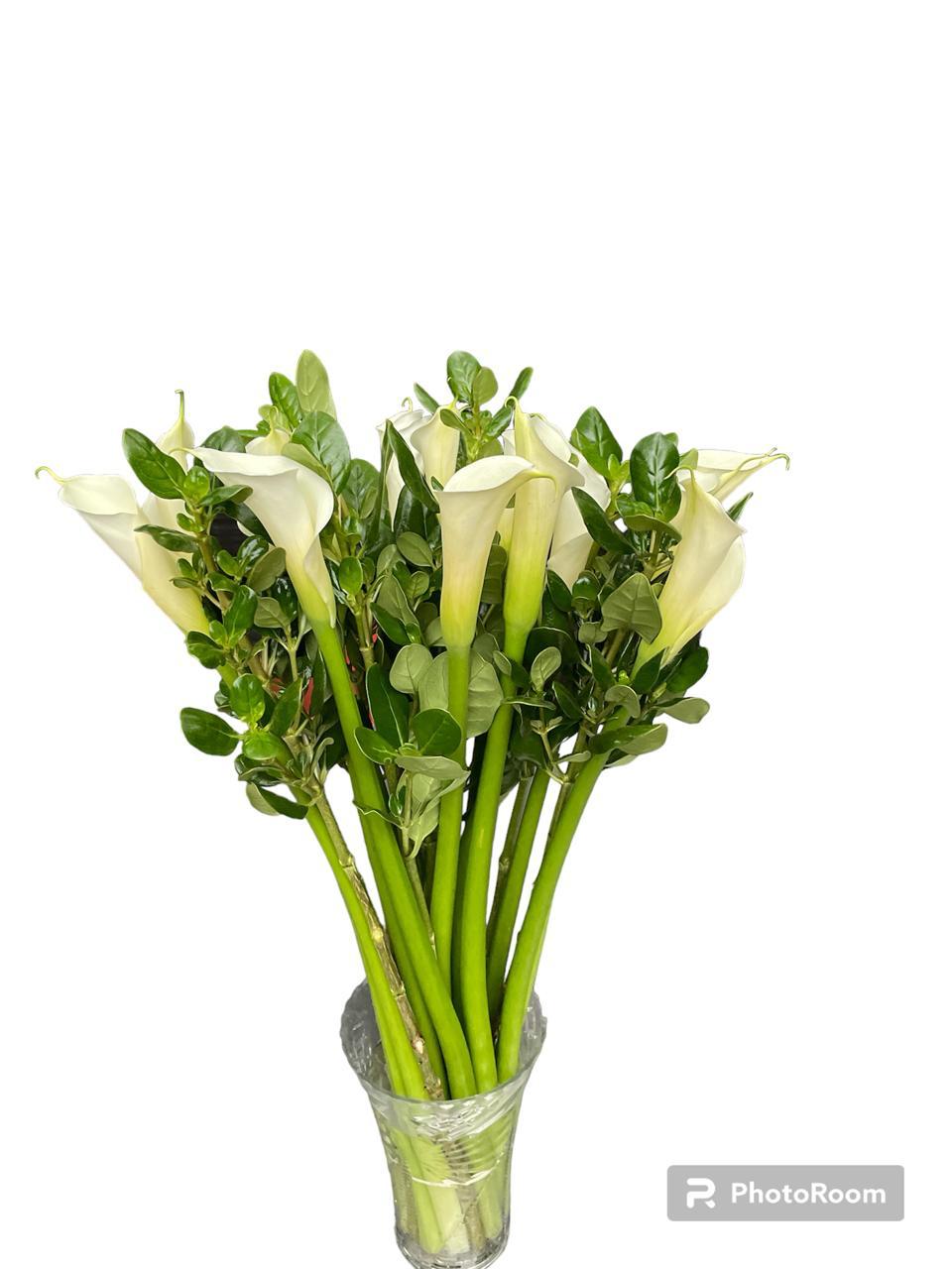 Flores tropicales