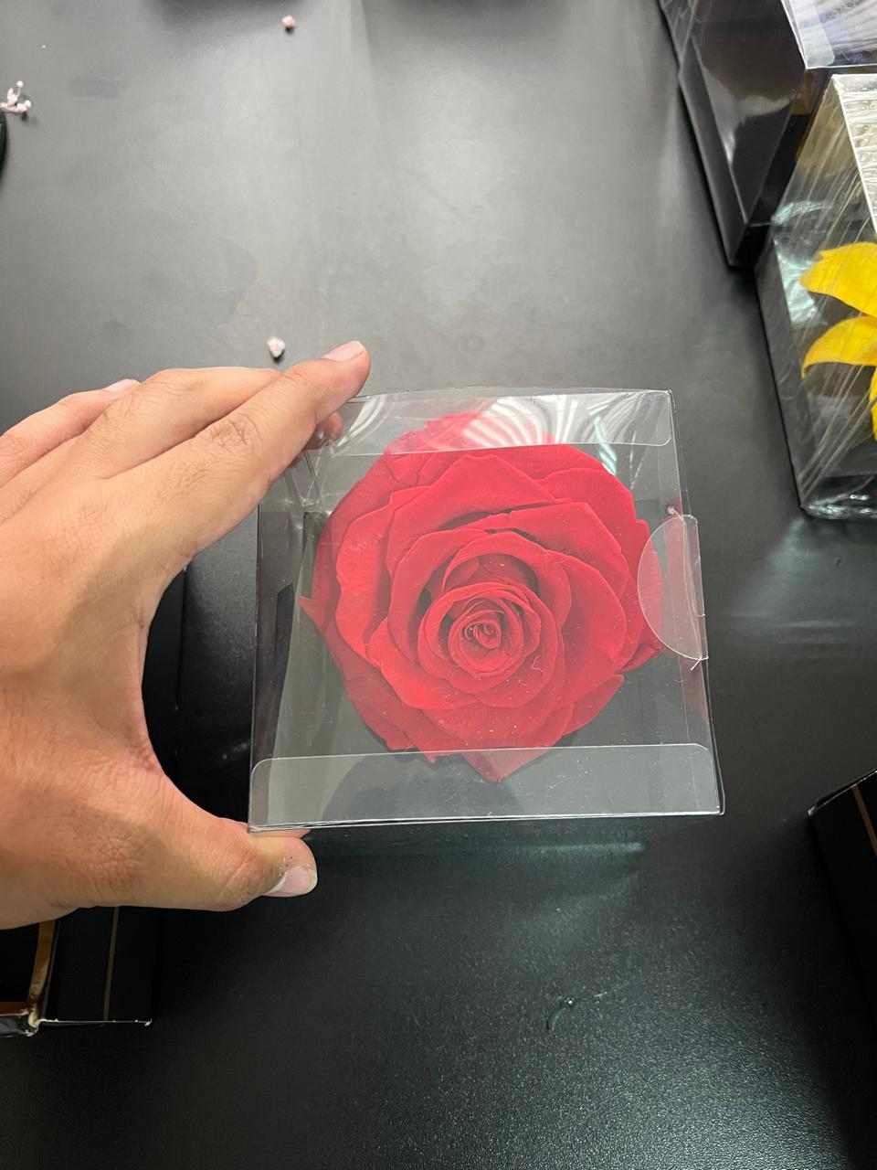 Rosa roja preservada