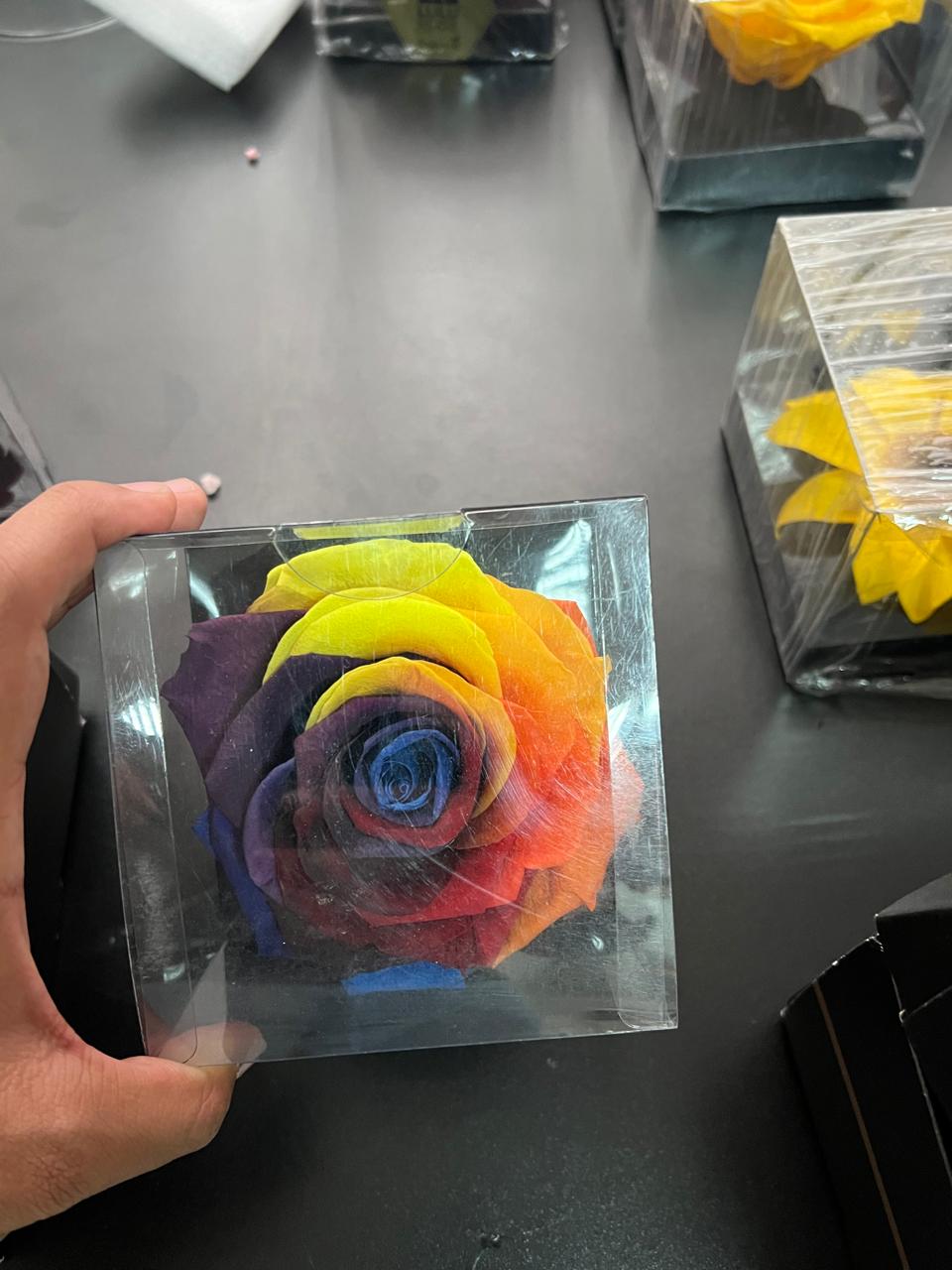 Catálogo de flores