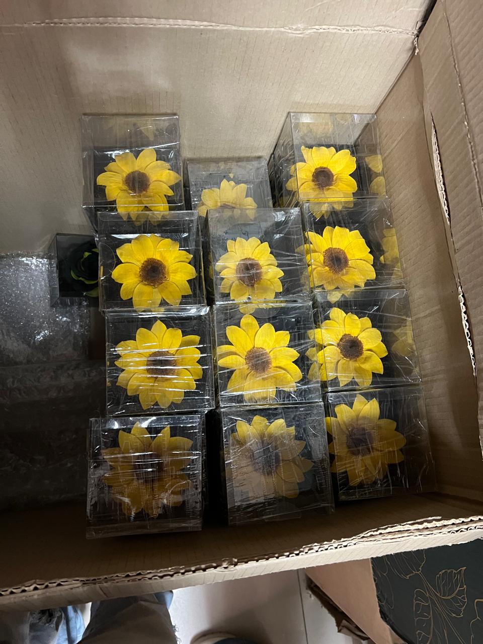 Flores de alta calidad